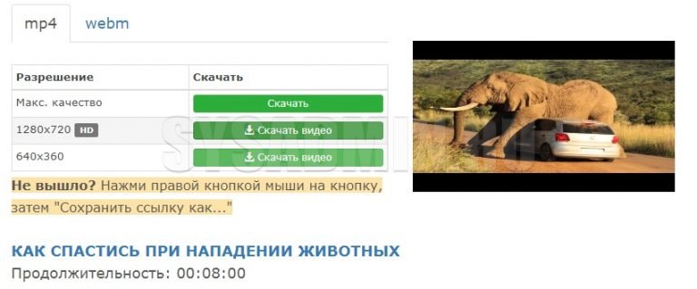 Куда копируется url видео на ноутбуке