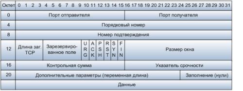 Какой адрес использует протокол tcp для выбора какому из приложений направить поступивший пакет